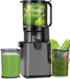 Lqz 680358132815 Juicer Machines With 5.8 Inch Large Feed Chute Cold Press For Whole