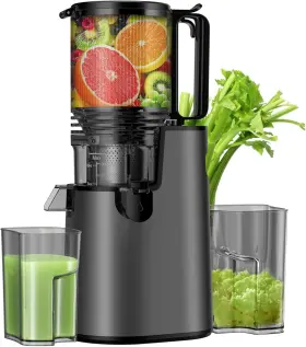 Lqz 797606891681 Cold Press Juicer Wide Feed Chute Masticating For Vegetables And Fruits New