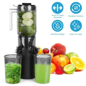 Gpct5245 Newhome Cold Press Juicer Machine 250w Slow Masticating Juice Extractor