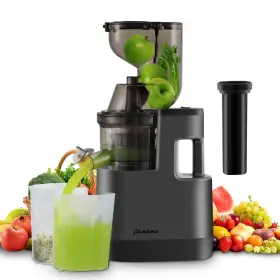 Panana 710917410761 Cold Press Juicer Slow Masticating With 3.2 Inch Large Feed Chute For Veg