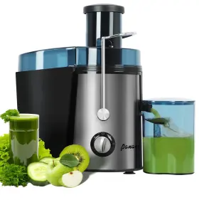 1000w Panana 710917430769 Juicer Centrifugal Machine With Motor Dual Speed Juice