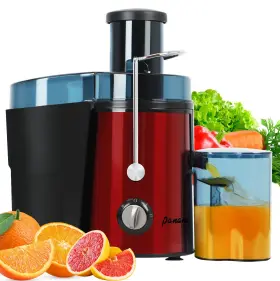 1000w Panana 710917642018 Juicer Centrifugal Machine With Motor Dual Speed Juice