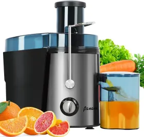 Ksjc5 Panana Centrifugal Juicer Extractor With Wide Mouth 2.5 Inch Feed Chute Silver