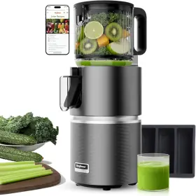 Sj081 Parlordream Slow Juicer 350w Cold Press 4.9 Inch With Large Opening Gray
