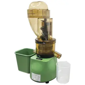 12m21a71 Preasion Electric Fruit Vegetable Juice Extractor For Ginger Carrot Apple Commercial Home
