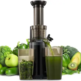 Reemix 795057711688 Masticating Juicer Machines Cold Press Machine Compact And Small Size