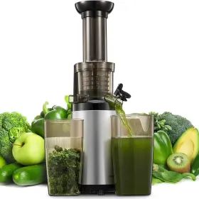 Sg-120w-2021 Reemix Masticating Juicer Machines Cold Press Machine Compact Size Juic