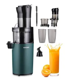 Repaly 717225622909 Compact Slow Masticating Juicer - Orange Machines Up To 92% Juice Yiel