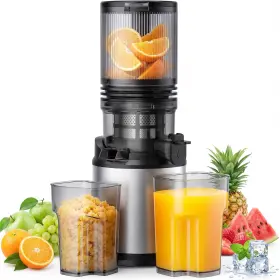 Ruie 717661506641 Juicer Machines Cold Press With Wide Feed Chute 3-in-1 Slow Masticat