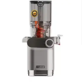 Runesay 445019596534 Cold Press 200-watt Stainless Steel Masticating Juicer 4.3 Inch Large Feed Chute