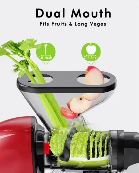 Sifene 712679917243 Dual Mouth Cold Press Juicer Slow Masticating Machines For Fruit And Ve #2