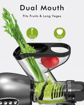 Sifene 751717497088 Cold Press Juicer 3 Inch Wide Dual Chute Whole Slow Masticating Machine W #2