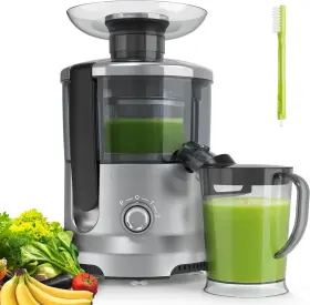 Simple Deluxe 198401111026 Powerful 500w Centrifugal Juicer - 2 Inch Feed Chute Efficient Extractor Machine
