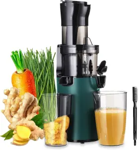 Svj-001 Sovider Cold Press Juicer Machines-sovider Up To 92% Juice Yield Compact Slow Green