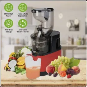 Spztjk Wbs-100 Cold Press Juicer Machine