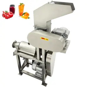 057201 Techtongda Commercial Spiral Fruit Vegetable Juicer Crusher Automatic Juice Extractor 220v