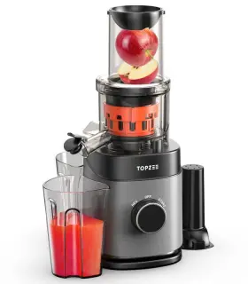S-cd-mzj-1-n Topzee Cold Press Juicer Detachable Bidirectional Filter Masticating