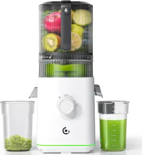 Zm1919 Vandisell 85oz Cold Press Juicer 6.5 Inch Extra Wide Feed Chute 3-in-1 600w Machine