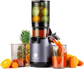 Ventray 445029526590 Slow Masticating Juicer 5.12 Inch Extra Large Feed Chute Cold Press