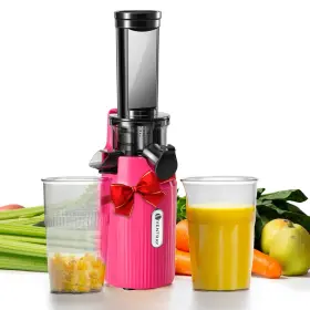 Ventray 667261539757 Ginnie Mini Cold Press Juicer Small Slow Masticating For Vegetables F
