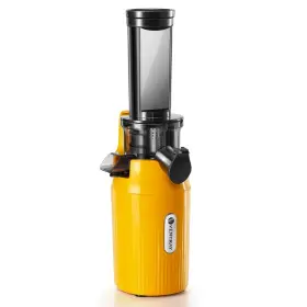 Ventray 667261539764 Ginnie Cold Press Juicer Machines Compact Small Slow Masticating With