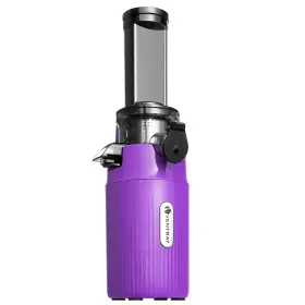 Ventray 667261541361 Ginnie Mini Cold Press Juicer Small Slow Masticating For Vegetables A