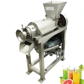 Wydddary Cd056775 220v 3ph Commerical Fruit And Vegetable Juicer 0.5t/h Stainless Steel