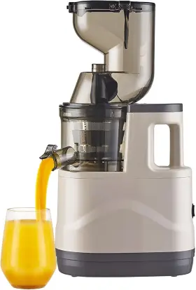 Zdhfeirui 602266774185 Spiral Cold Juicer Filter Easy To Wash Large Diameter Electric Silent Motor