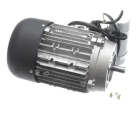 S3301110 Zumek Zumex 00 Motor 115v 60hz