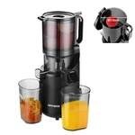 Repaly Compact Slow Masticating -juicer Machines Up To 92% White. Fixed Price $113.18.
