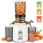 Ganiza Juicer Machines, Cold Press With Large Feed Chute For Whole Fru.... Fixed Price $83.48.