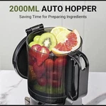 Amzchef Slow Juicer Model SJ-036 In Blackberry 120V 250W. Fixed Price $44.99.