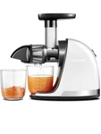 Amzchef Slow Masticating Juicer With Reverse Function, White. (updated). Fixed Price $50.00.
