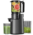 Lqz Slow Masticating Juicer. Fixed Price $75.99.