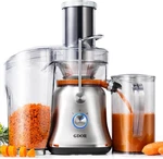 Gdor Heavy Duty Centrifugal Juicer 1300W Bpa Free Silver Dual Speeds. Fixed Price $410.77.