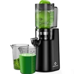 Linkchef Slow Masticating Juicer Machine Black. Fixed Price $24.02.