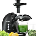 Slow Masticating Juicer,brecious Cold Press Juicers With 2 Speed Modes Black. Fixed Price $98.99.