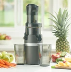 Vida Sana Cold Press Pro Juicer. Fixed Price $325.00.