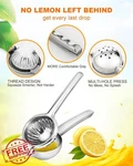 Brigii Stainless Steel Lemon Squeezer Juicer, Manual Lime Press, Dishwasher Safe. Fixed Price $27.99.