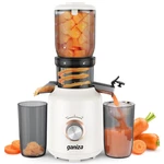 Ganiza Cold Press Juicer Whole Fruit Slow Masticating 3 Filters White. Fixed Price $74.99.