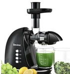 Slow Masticating Juicer, Cold Press Juicers With 2 Speed Modes & Quiet Black. Fixed Price $59.99.