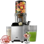 Whuto Cold Press Juicer Slow Masticating Stainless Steel Wide Chute Brass. Fixed Price $281.99.