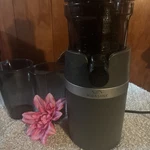 Princess House Vida Sana Electrics 5863 Slow Juicer. Fixed Price $90.00.
