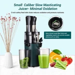 Sovider Juicer Machines Fruit Veg Squeezer Slow Masticating Brush Pulp Cup. Fixed Price $119.00.