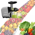 Lufvebut Cold Press Slow Juicer For Fruits Vegetables Celery Carrot Ginger. Fixed Price $249.60.