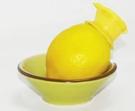 Ecojeannie Citrus Tap Faucet Juicer,lemon Lime Squeezer 12 Pc. Fixed Price $33.95.