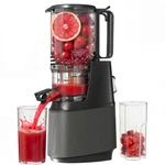 Extract More Fruits - Yoyds Cold Press Juicer. Fixed Price $209.99.