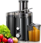 Centrifugal Juicer Extractor Fruit Vegetable,easy Clean,stainless Steel,black. Fixed Price $52.76.