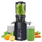 Celiberry Slow Juicer. Fixed Price $44.99.