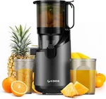 Self-feeding Cold Press Slow Juicer, Large Chute 5.3", Gun Grey Gdor SJ-016. Fixed Price $19.50.